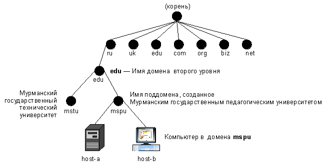 Уровни домена примеры. DNS система доменных имен. Домен третьего уровня. Домен второго уровня. Уровни доменов сети.